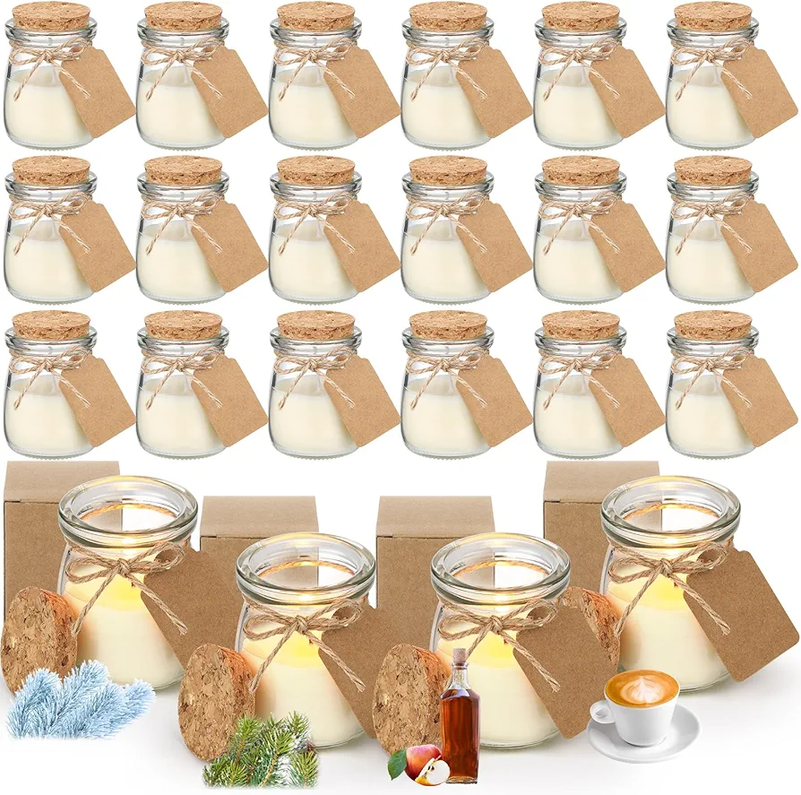 MTLEE 24 Pcs Jars Candle Scented Candle Gift Natural Wax Candles with DIY Tag Cards for Thanksgiving Christmas Wedding Baby Shower Party Favors Home Decor(Winter/Forest/Cider/Warm)