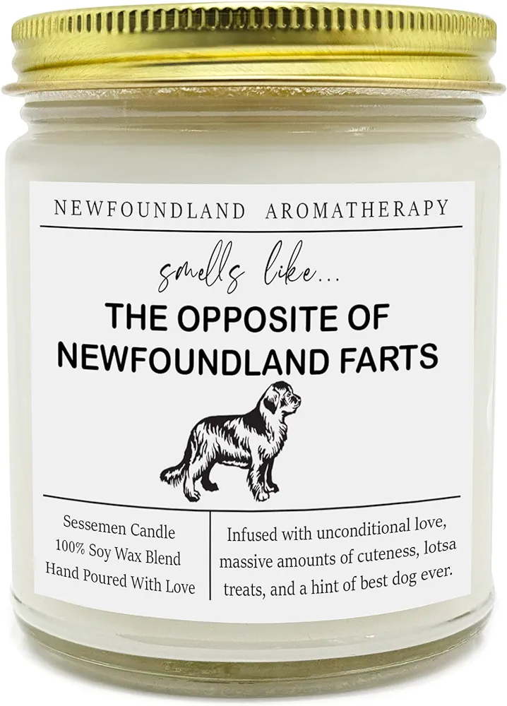 Newfoundland Candle, Newfoundland Gift, Newfoundland Clear Jar Candle, Candle Non-Toxic, for Autumn, Winter, Fall