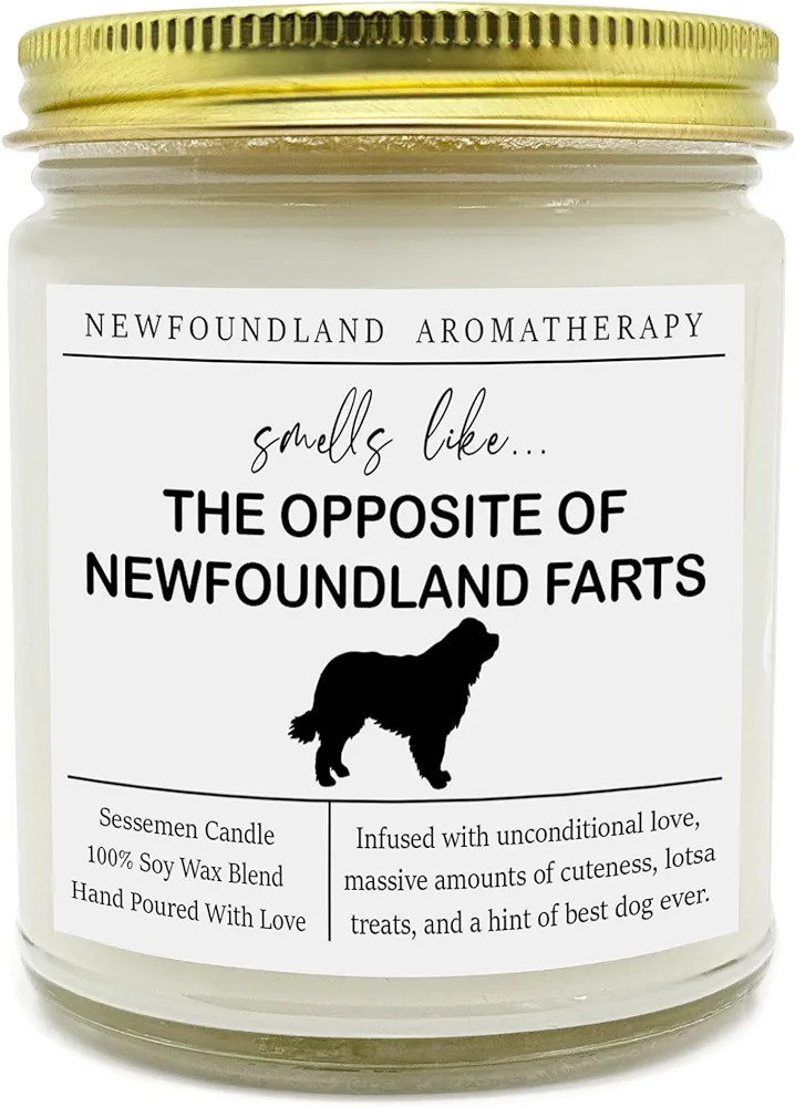 Newfoundland Candle, Newfoundland Gift, Clear Jar Candle, Candle Non-Toxic, for Autumn, Winter, Fall