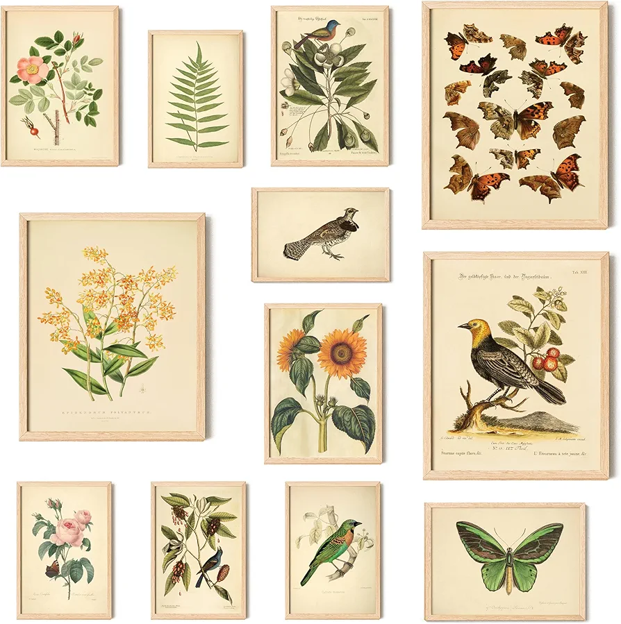 97 Decor Vintage Botanical Wall Art - Vintage Botanical Prints Plant Posters For Room Aesthetic, Nature Wall Decor Butterfly Paintings Bird Art, Floral Pictures Wall Decor For Bedroom (8x10 Unframed)