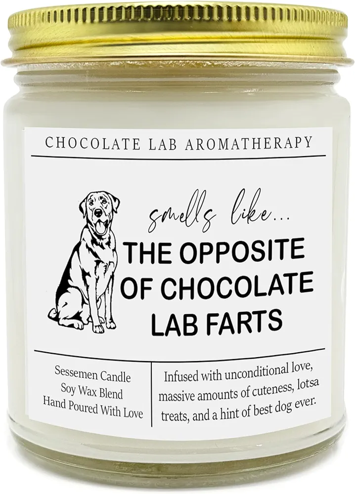 Chocolate Lab Candle, Chocolate Lab Candle Clear Jar, Chocolate Lab Candle Non-Toxic, Candle for Fall, Winter, Autum (9Oz, Lavender)