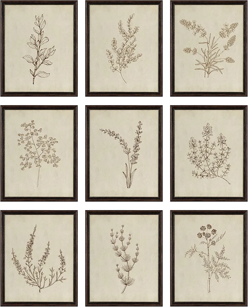 97 Decor Botanical Wall Art - Vintage Botanical Prints, Plant Art Wall Decor, Neutral Floral Wall Art Pictures, Beige Flower Poster Paintings, Flower Sketch Drawing for Bedroom (8x10 UNFRAMED)